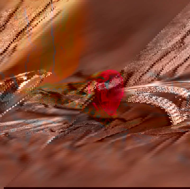 Ct Pear Cut Lab Ruby V-Shaped Engagement Ring – LGG Jewelry